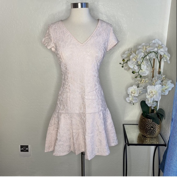 Club Monaco Light Pink Floral Lace Blush Fitted Summer Dress - Picture 1 of 8